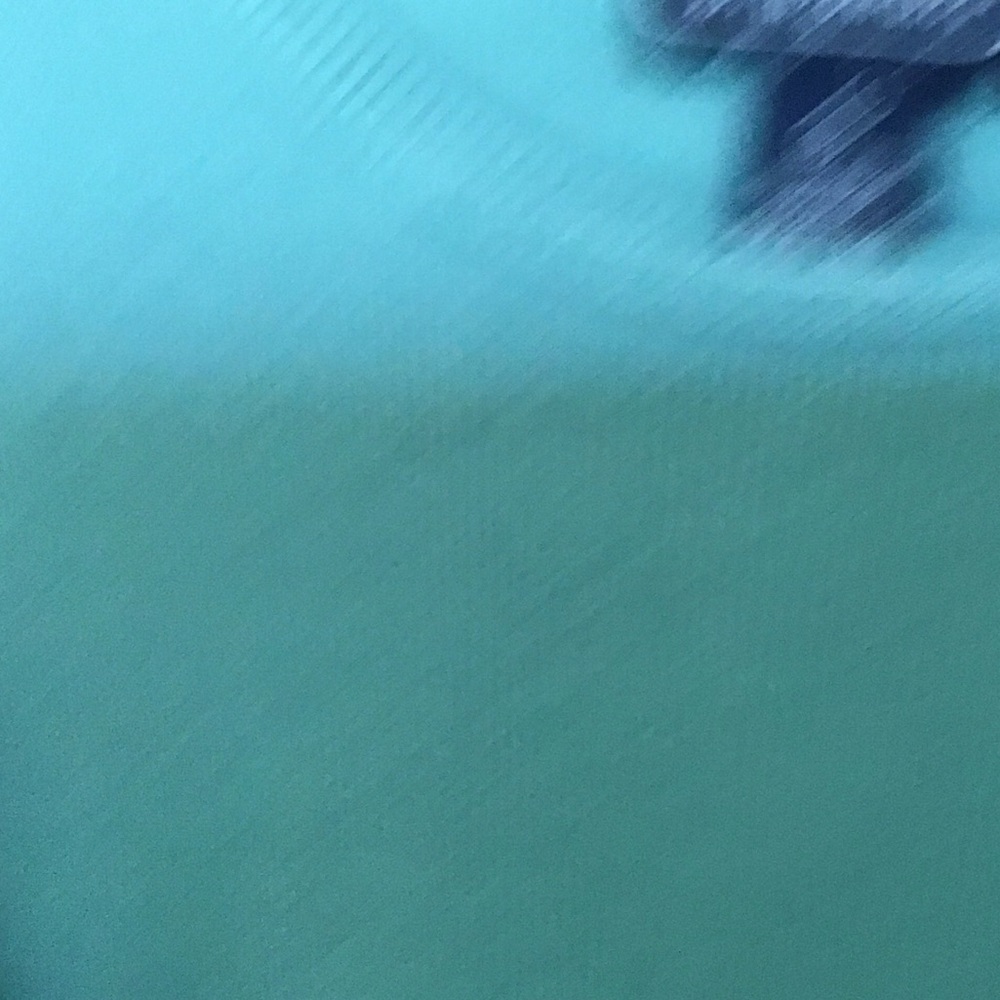 Perceptions Aqua Jacket And Top Ensemble - image 6